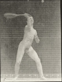 Plate 294 lawn tennis, serving — figure reference